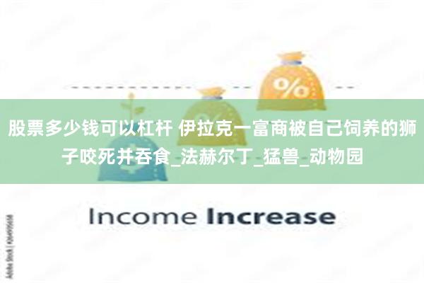 股票多少钱可以杠杆 伊拉克一富商被自己饲养的狮子咬死并吞食_法赫尔丁_猛兽_动物园