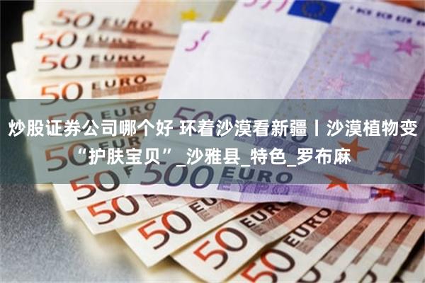 炒股证券公司哪个好 环着沙漠看新疆丨沙漠植物变“护肤宝贝”_沙雅县_特色_罗布麻